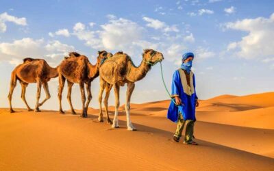 4-Day tour from Marrakech to Morocco desert